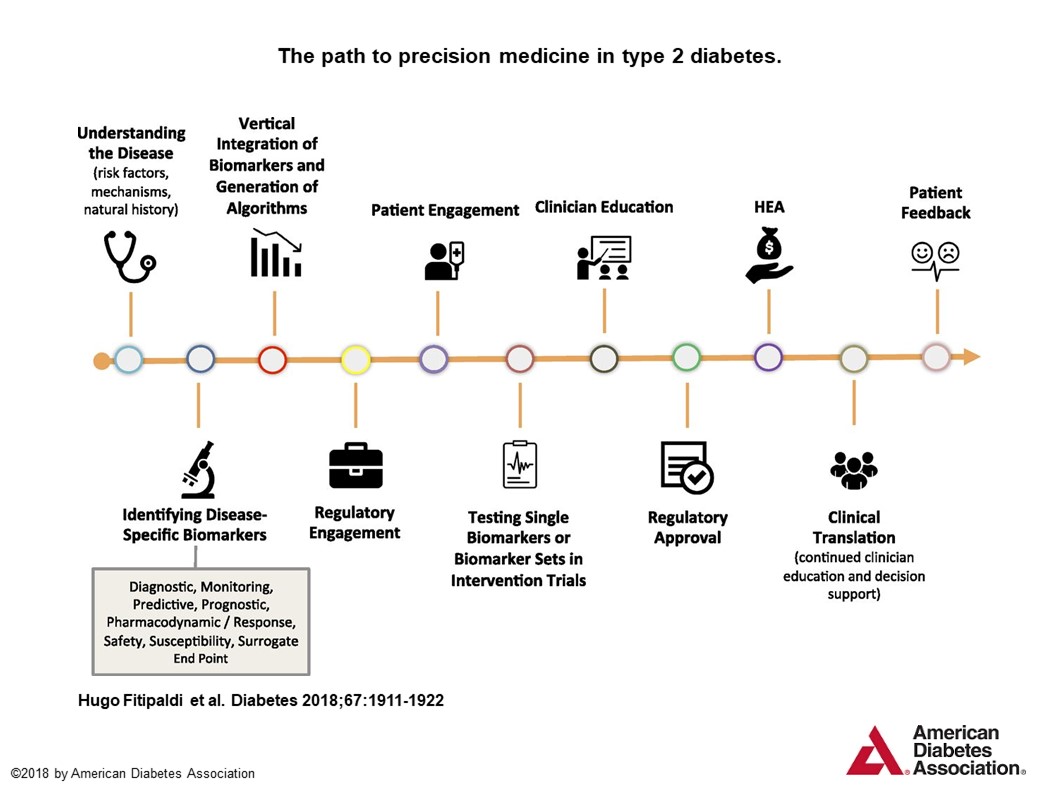The path to precision medicine in type 2 diabetes