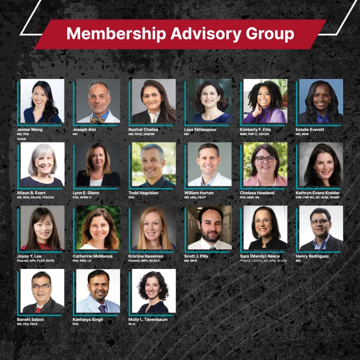 Membership Advisory Group photos