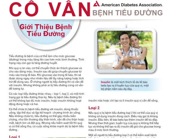 Diabetes an Introduction in Vietnamese