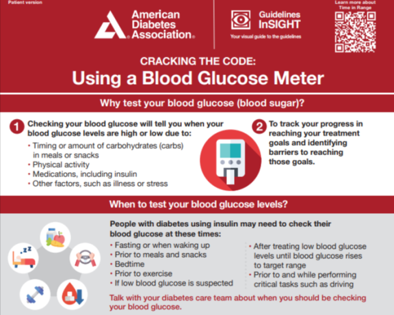 Using-A-Blood-Glucose-Meter