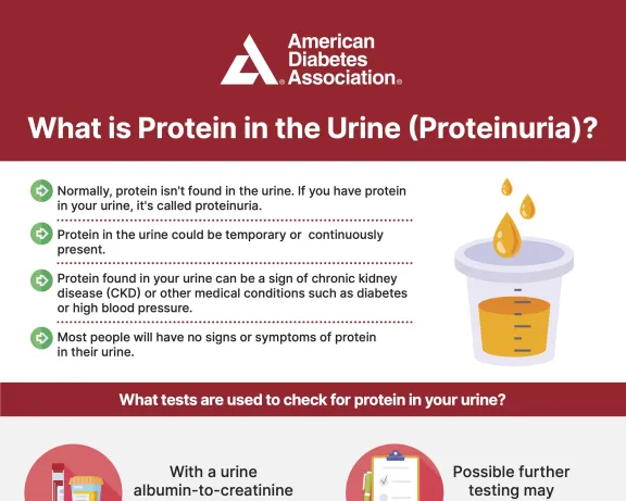 ADA infographic on proteinuria: definition, tests, and treatment for chronic kidney disease.