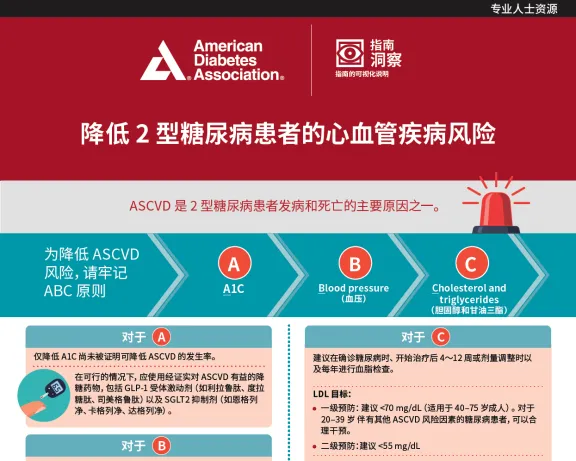 Cardiovascular Disease Risk Reduction in Type 2 Diabetes (Chinese)
