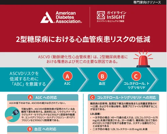 Cardiovascular Disease Risk Reduction in Type 2 Diabetes (Japanese)